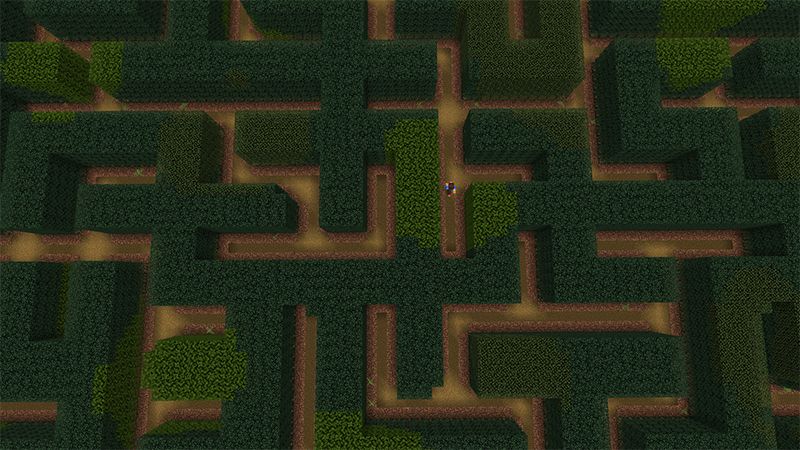 Maze Escape Speedrun by A30x1