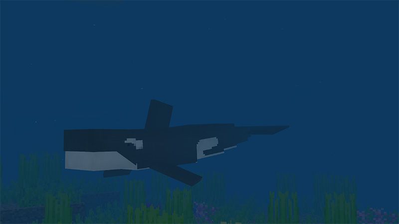 Under the Sea by MobBlocks