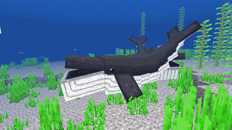 Ocean Expansion Add-On 3.0 by Hourglass Studios