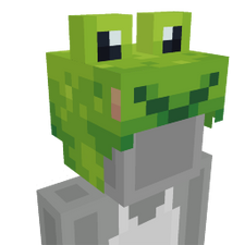 Frog hat Frog hat