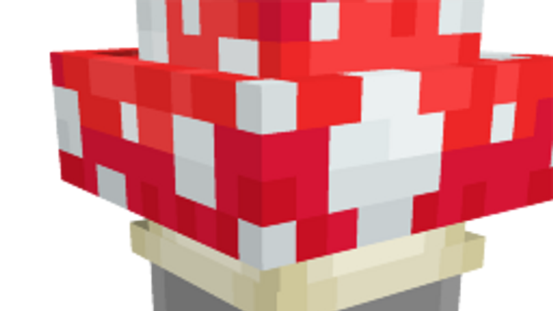 Mushroom Hat on the Minecraft Marketplace by BLOCKLAB Studios