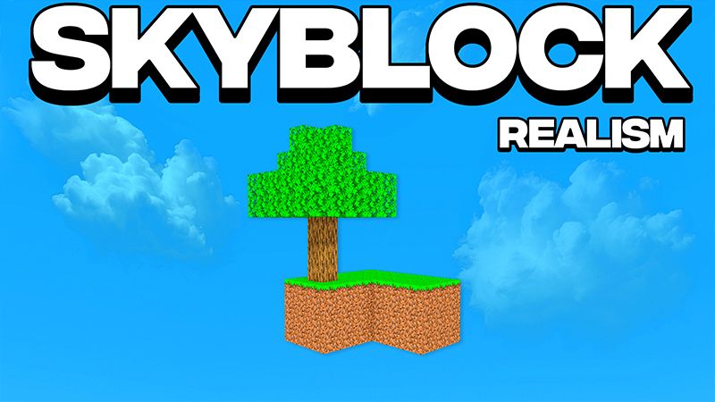 REALISM SKYBLOCK